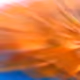 6953580024808712742906220267031265195446481600193527033543342985114235700200