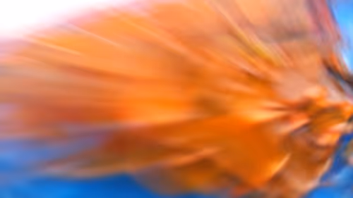 Item #6953580024808712742906220267031265195446481600193527033543342985114235700200 Media