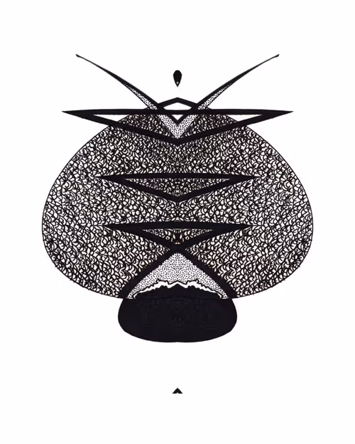 Item #55910033793432811292494718472823426020792169771492944896856205096116379713537 Media