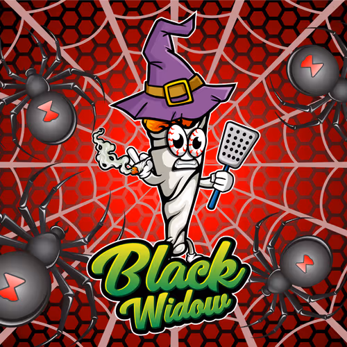 27239952631208204475550635203214834624309968041134471540447875896475729788929