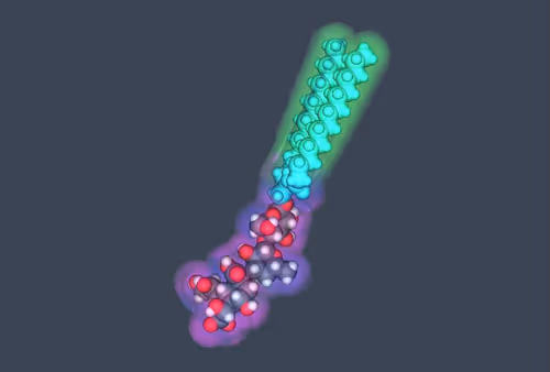 Item #70691296673147545588645983106347604860014430771481084920996057748950017376257 Media