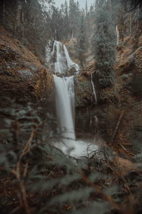 Item #66238051181761595307184186966645763884629250056383602448065297974107362557953 Media