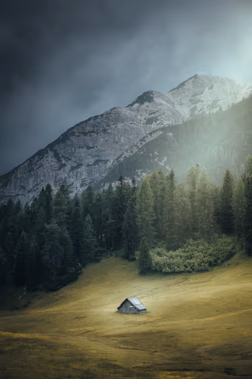 Item #57838873307730799033635906984496396884478891164141472861664138676026266877962 Media