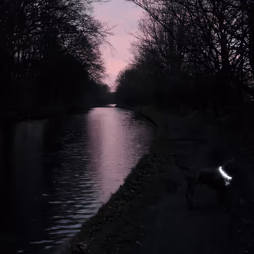 Untitled Collection #93644691