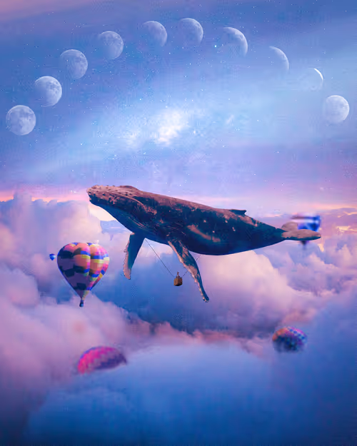 Item #53010446080174274945979665358285553867030313799277838715159623129843084820481 Media