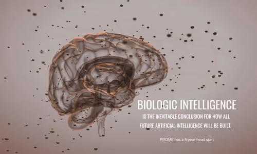 Item #67451479426573356873034724663530292067190086834545215877212484608930007220225 Media