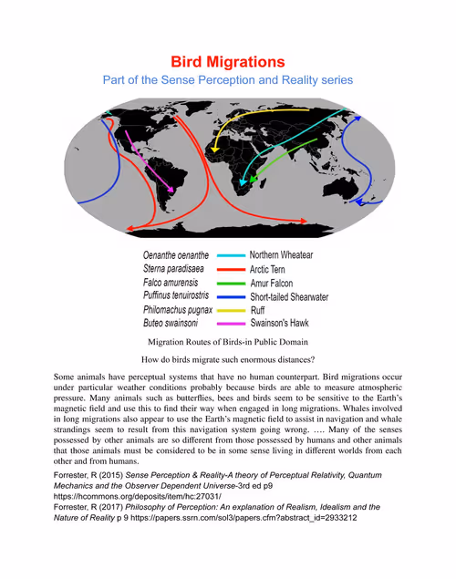 Item #37291732178084177636996624342573652755966973080387598834646375463195707975440 Media