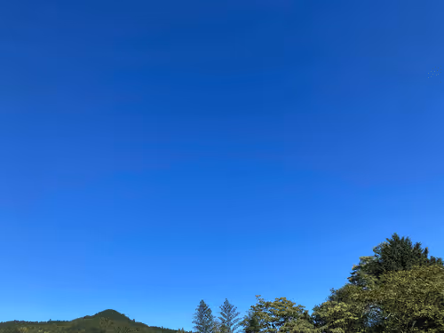 ArtistOrientedTokyo Collection