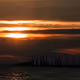 EBTC_PRO Collection