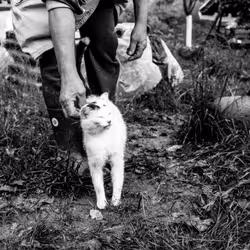 105475816949175725597838668609224528502922702307421382918206128489119776505857