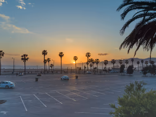 Item #62617397375757312297803897609954755559227699621957103885912270309894578503681 Media