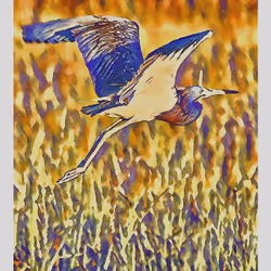 55704534837685659622621715309832868758345944585427688586690141444351157338113