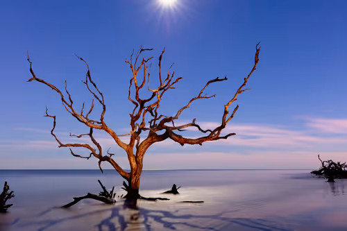 Item #79891436161549541429884862344900251113171213125295126698961100626272498745345 Media