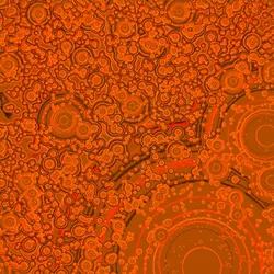 87353216888022099964370645107572389874129925836752805213271095474854391971841