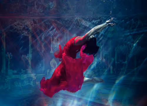 Item #80540052043906885510675861673364988660680338481487985328641750529525764063233 Media