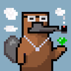 Platy Punk #1714