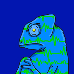 Chameleon shock 0036