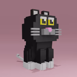 Cat Around Me #2