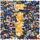 72313549958186400623516579222099753259770590924826109399862158079875962896385
