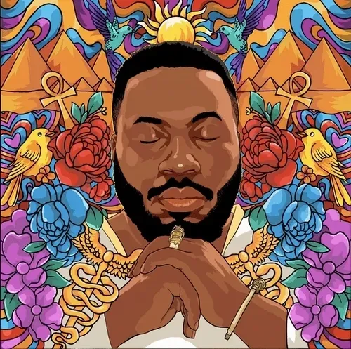 King of Vibes