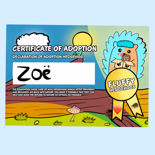 Fluffy Adoptions