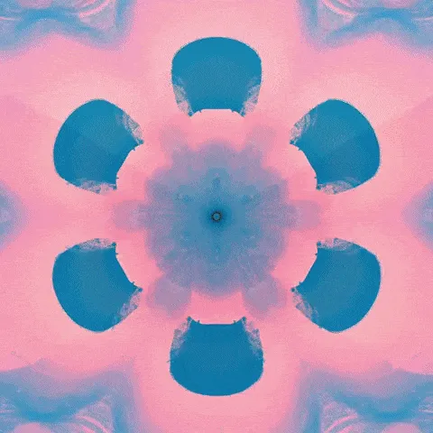 Item #58316573958637232052485233279557501779660372853983059154556752533616609722369 Media