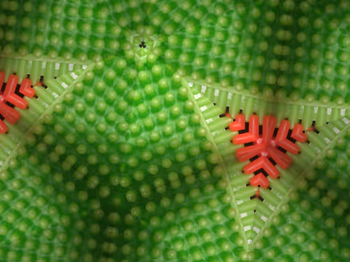 Item #69376820955182207634374405090115864776049539168882178084902512074630864306177 Media