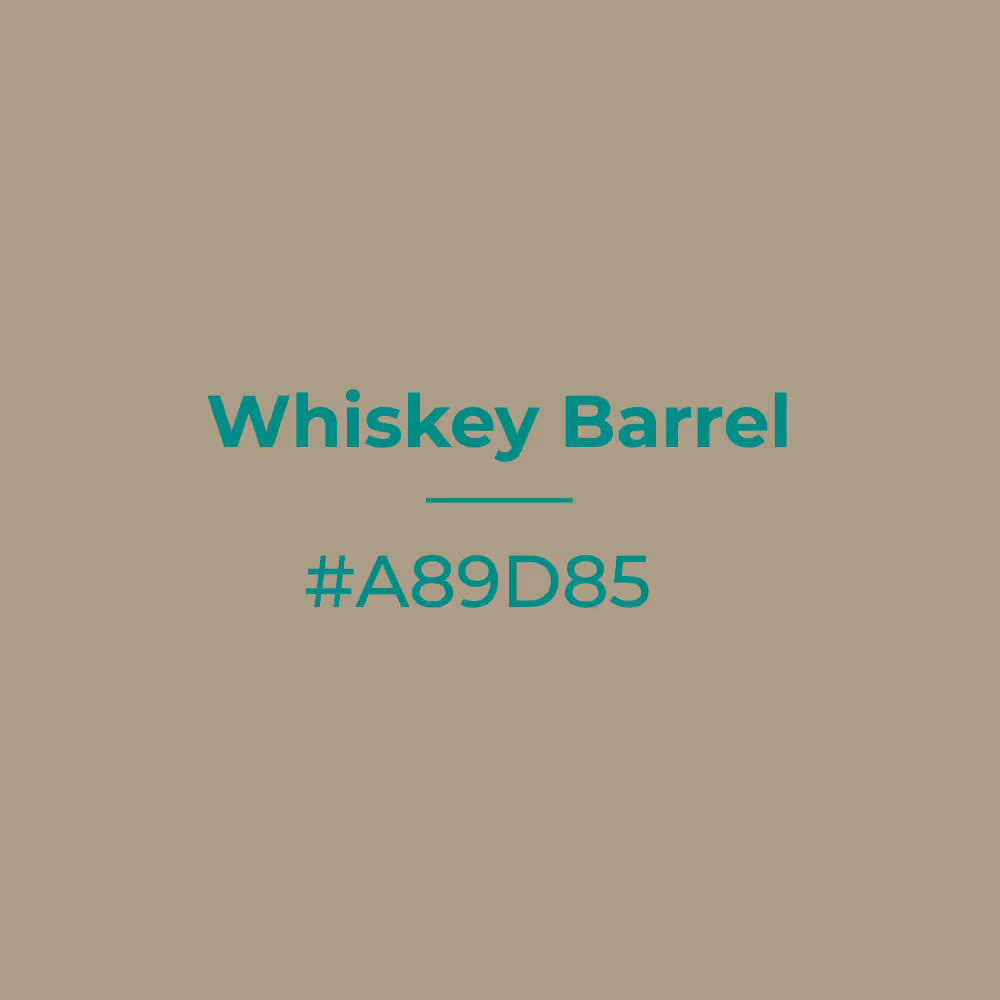 Whiskey Barrel #a89d85