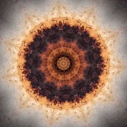 Cosmos