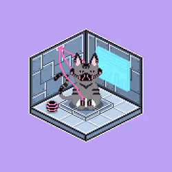 8185215237990495246736847635849678769749083075597177210373619737978311016449