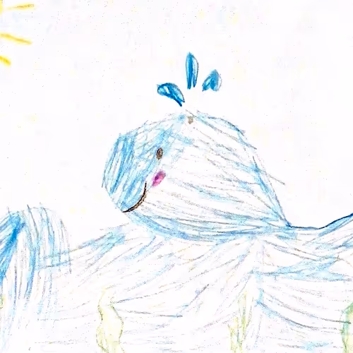 Cool Whale 