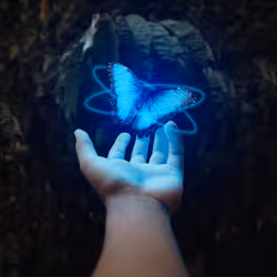 53010446080174274945979665358285553867030313799277838715159623134241131331585