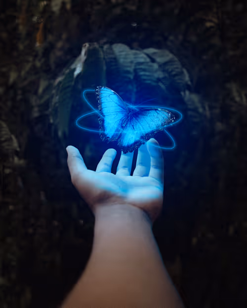 Item #53010446080174274945979665358285553867030313799277838715159623134241131331585 Media