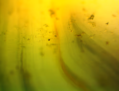 Item #71646257518770613568983710813551014237803002136866425209291834524372842840065 Media