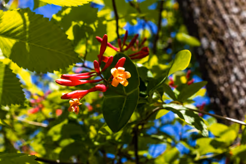 Item #30985419060957023672606833204645685316652492575224970316942919864495076540417 Media