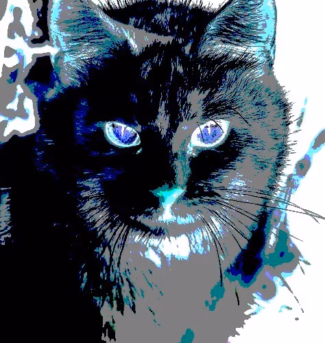 23538819986925566434507765811444276093104658907602947149672917329513788997633