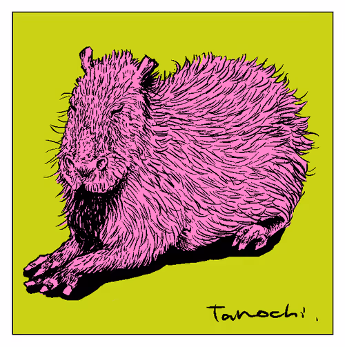 Item #112440547499717604048536072211740983446434024043436652955614128747988821999617 Media