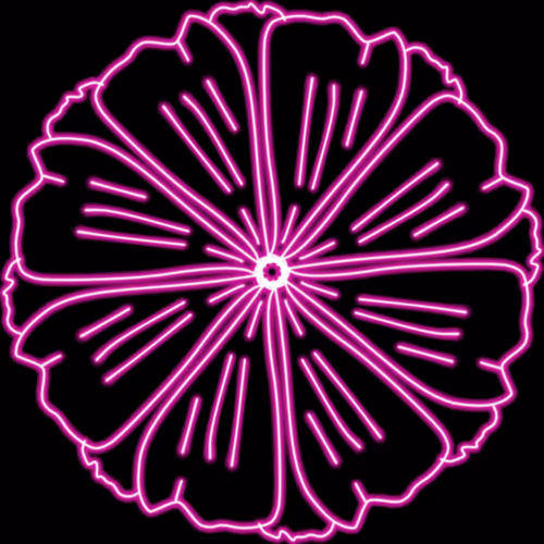 Item #114365264828506425446216582612121722538884958473985540756020934830680153522177 Media