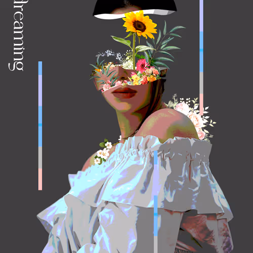 jojojojo0429 Collection