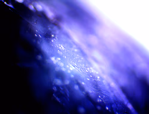 Item #71646257518770613568983710813551014237803002136866425209291834527671377723393 Media