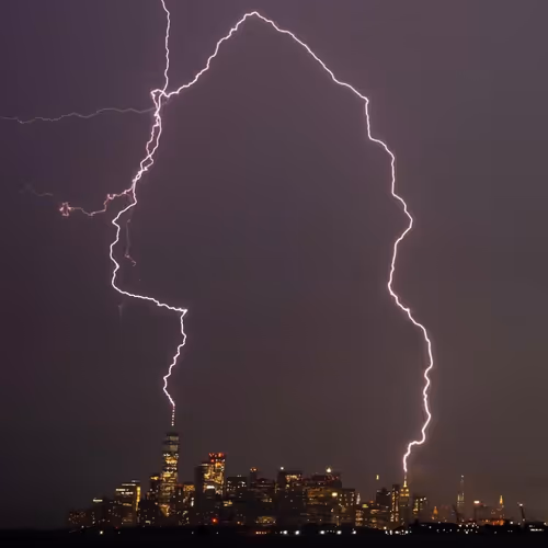 Jack-A-Roe Collection