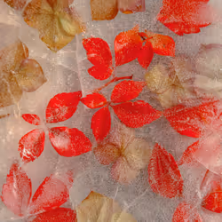 80829721372825377784010953381890255518558028243098186913878117761949036969985