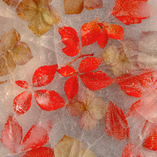 Item #80829721372825377784010953381890255518558028243098186913878117761949036969985 Media