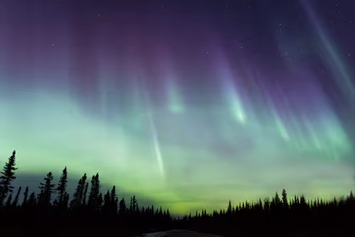 Item #21114313984647103593433237595897787432123742912884964135570648068996141678593 Media