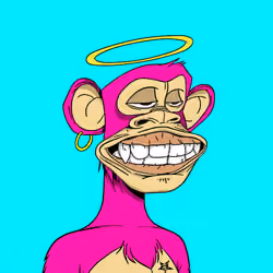 SANTO