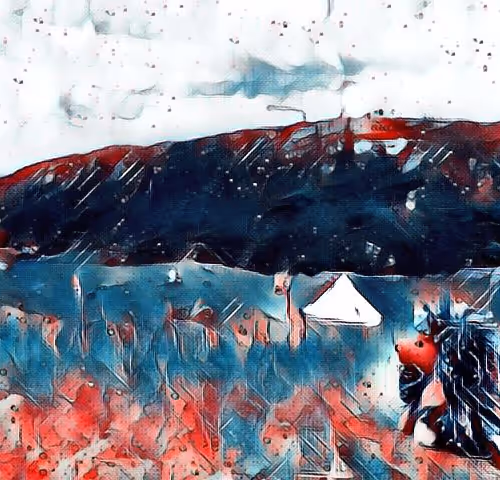 Porcupine Canonical Tent