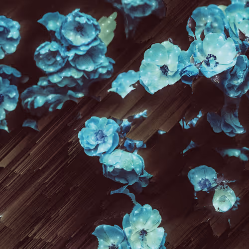 god's flowers II