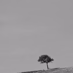 Loneliness