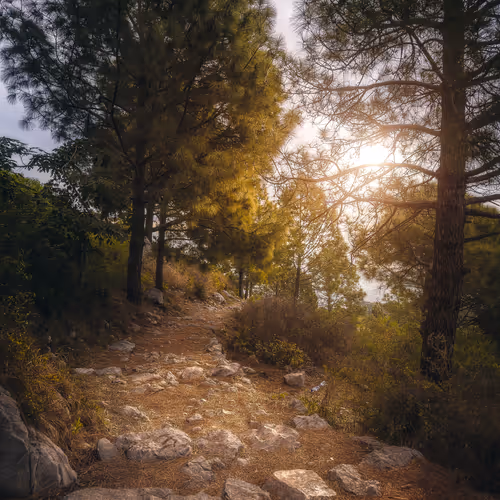Sacred Trail