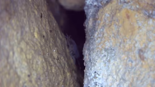 Item #26658692853047594662684063584859351739740990353533291936945253102087005274113 Media